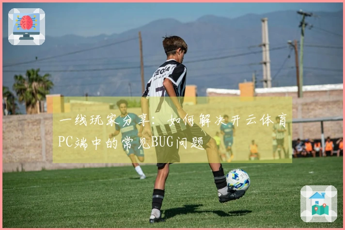 一线玩家分享：如何解决开云体育PC端中的常见BUG问题