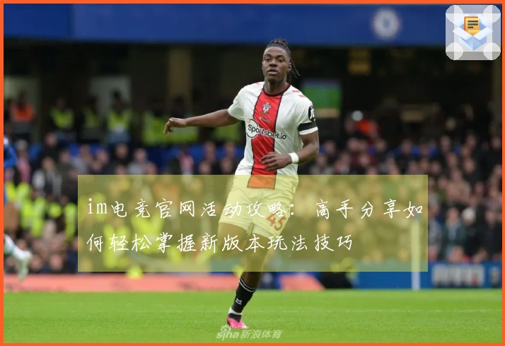 im电竞官网活动攻略：高手分享如何轻松掌握新版本玩法技巧