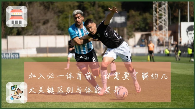 加入必一体育前，你需要了解的几大关键区别与体验差异