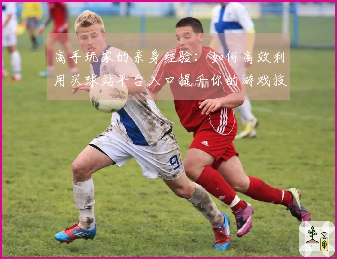 高手玩家的亲身经验：如何高效利用买球站平台入口提升你的游戏技巧