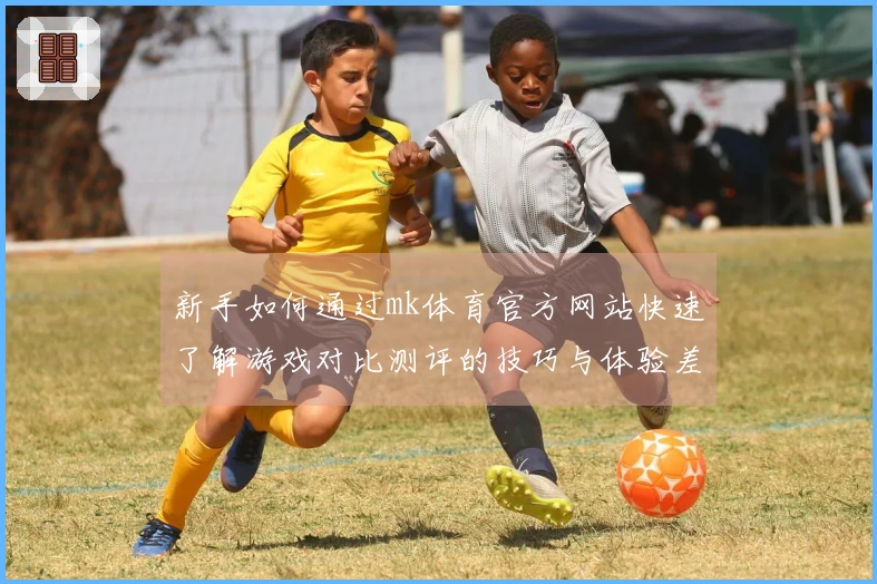 新手如何通过mk体育官方网站快速了解游戏对比测评的技巧与体验差异