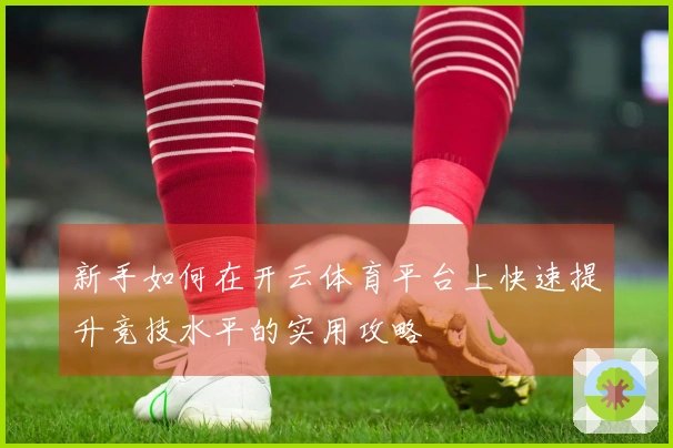 新手如何在开云体育平台上快速提升竞技水平的实用攻略